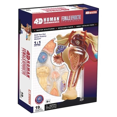 Tedco Toys 4D Human Anatomy Female Reproductive System TE564420